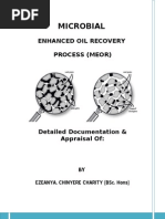 Microbial Enhanced Oil Recovery Process