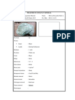 Praktikum Endapan Mineral 1