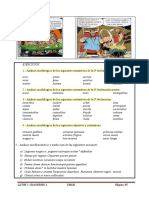 Temas e I + Irregulares3 PDF