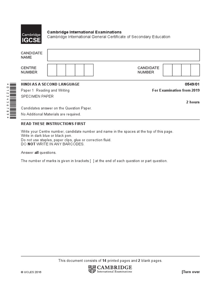 2019 Hindi Specimen P PDF