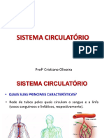 Sistema Circulatório