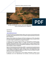 Articulos 1° Parcial