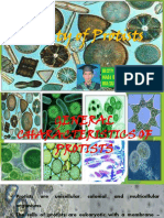 Diversity of Protists by Resty Samosa Maed Biology 160212061608