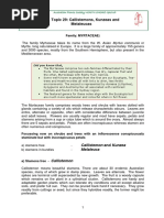 Topic 29 Callistemons 2013