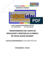 Informe Modelo Fabrica de Chicha