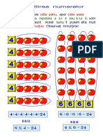 0 0 Inmultirea Impartirea PDF