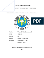 Laporan Evaluasi Tekstil 2 - Identifikasi Zat Warna Pada Selulosa