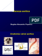 Curs 23 Stenoza Aortica Studenti 2014 PDF