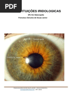 CONSTITUIÇÕES IRIDOLOGICAS para apostila.pdf
