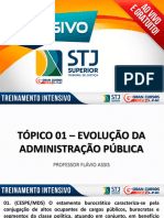 Flávio Assis - Treinamento Intensivo STJ - EVOLUÇAO DA APU STJ