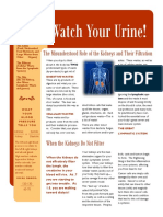 Kidney Filtration