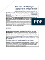 Las 4 Leyes Del Desapego Para La Liberación Emocional