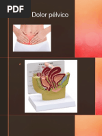 Dolor Pélvico