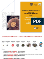 Membrana Estructura y Funcion 