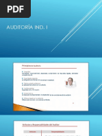 AUD. IND. Presentación II