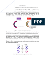 Practica 3