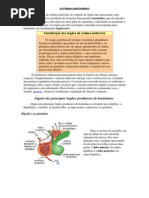 SISTEMA ENDÓCRINO