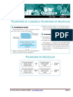 POLARIDADE.pdf