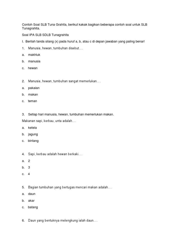 Contoh Soal SLB Tuna Grahita PDF