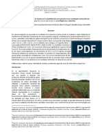 Evaluacion de Diferentes Distancias de Siembra en El Cultivo - 0212085621