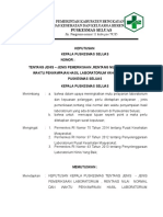 8.1.1.1 SK Jenis2 Pemeriksaan Lab