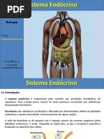 Sistema Endócrino