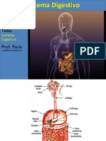 Aula Sistema Digestivo 2013
