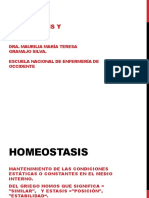 Homeostasis 