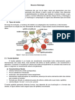 Resumo Histologia