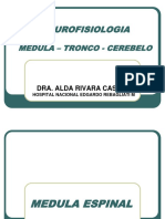 3. Neurofisiologia -Medula, Tronco y Cerebelo