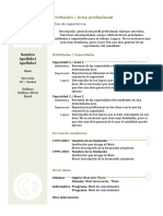 Curriculum Vitae Modelo3b Verde