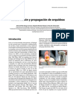Ortega-Larrocea_et_al_2009_conservacion_y_propagacion.pdf