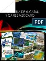 Península de Yucatán y Caribe Mexicano