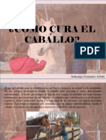 Atahualpa Fernández Arbulú - ¿Cómo Cura El Caballo?