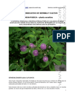Manual_Cultivo_Mimosa_Pudica_neocultivos_www.pdf