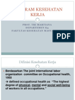 Program Kesehatan Kerja