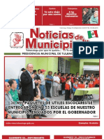 Gaceta Municipal 013 Año 2010