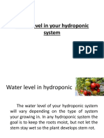 Water Level in Your Hydroponic System