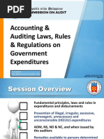 Accounting and Auditing Laws Rules and Regulations Atty Billy Joe Ivan Darbin