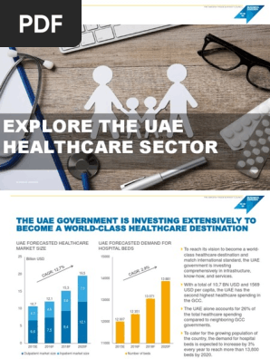 Health Care And Life Science Pdf United Arab Emirates Electronic Health Record
