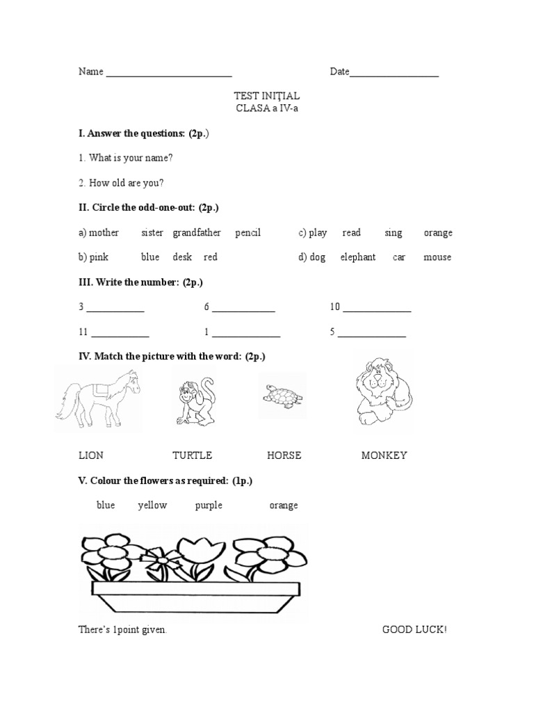 4th Grade Initial Test Template | PDF | Games & Activities