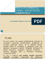 4.-PARTICIPANTII-LA-COMERTUL-INTERNATIONAL.-PARTICIPANTII-PERSOANE-JURIDICE-1-CURS-3-2017-pptx.pdf