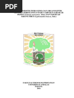 Download Karakteristik Fisiko Kimia Dan Organoleptik Minuman Serbuk Instan Dari Campuran Sari Buah Pepino Solanum Muricatum Aiton Dan Sari Buah Terung Pirus Cyphomandra Betacea Sent by Muthiya D Febrianty SN372287332 doc pdf