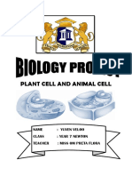 Plant Cell and Animal Cell - Docx Yuven