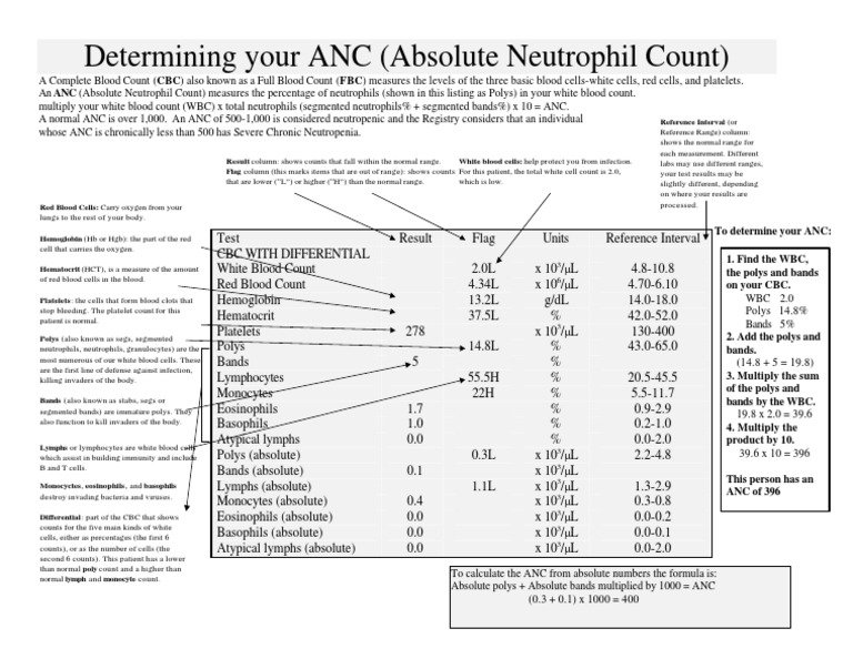Abbreviations Anc Absolute Neutrophil Count Sd Standard Deviation Download Scientific Diagram