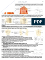 Resumen RMP - 2º Año PDF