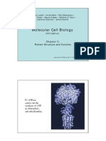 Ch03 Protein Structure and Function