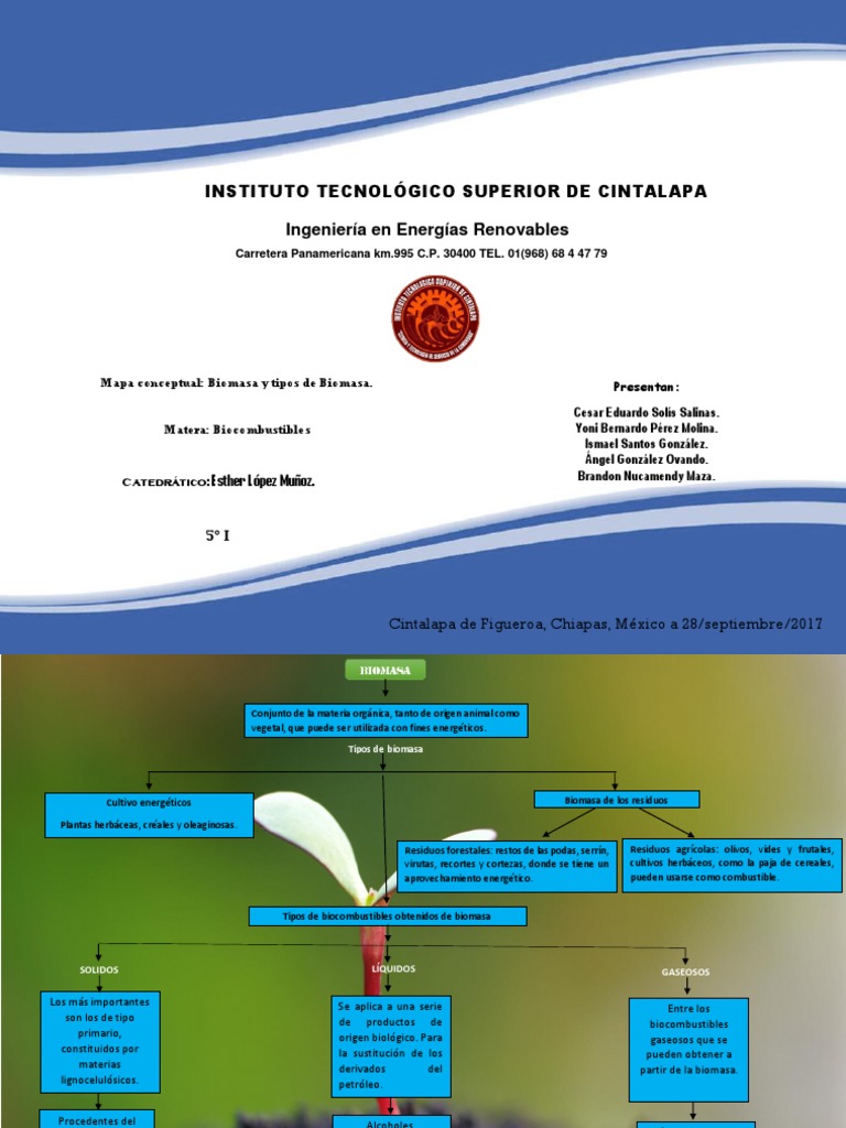 Mapa Conceptual de Biomasa y Tipos de Biomasa. | Biomasa | Biocombustible