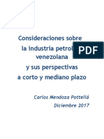 Consideraciones Mendoza Pottellá