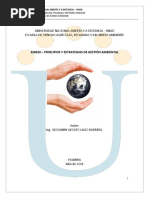 Principios y Estrategias de Gestión Ambiental